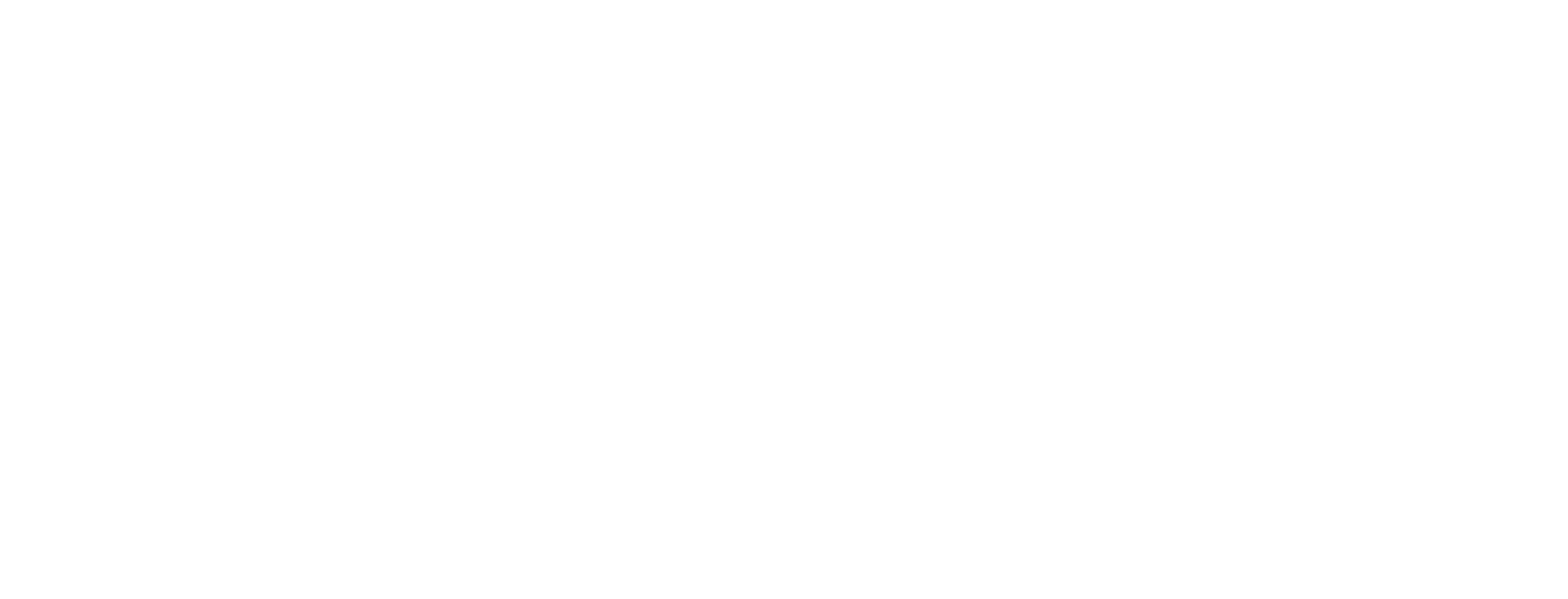 VeeSoft